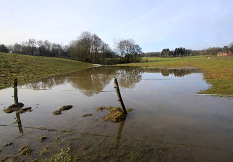 zone inondée